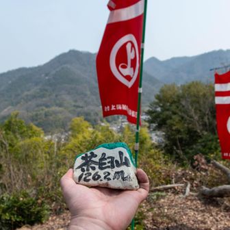 茶臼山のピーク