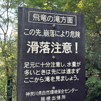 ウッドデッキの端にこの標識が。手前の沢の水量が多く、ここまで来るのも今日は結構大変でした。
