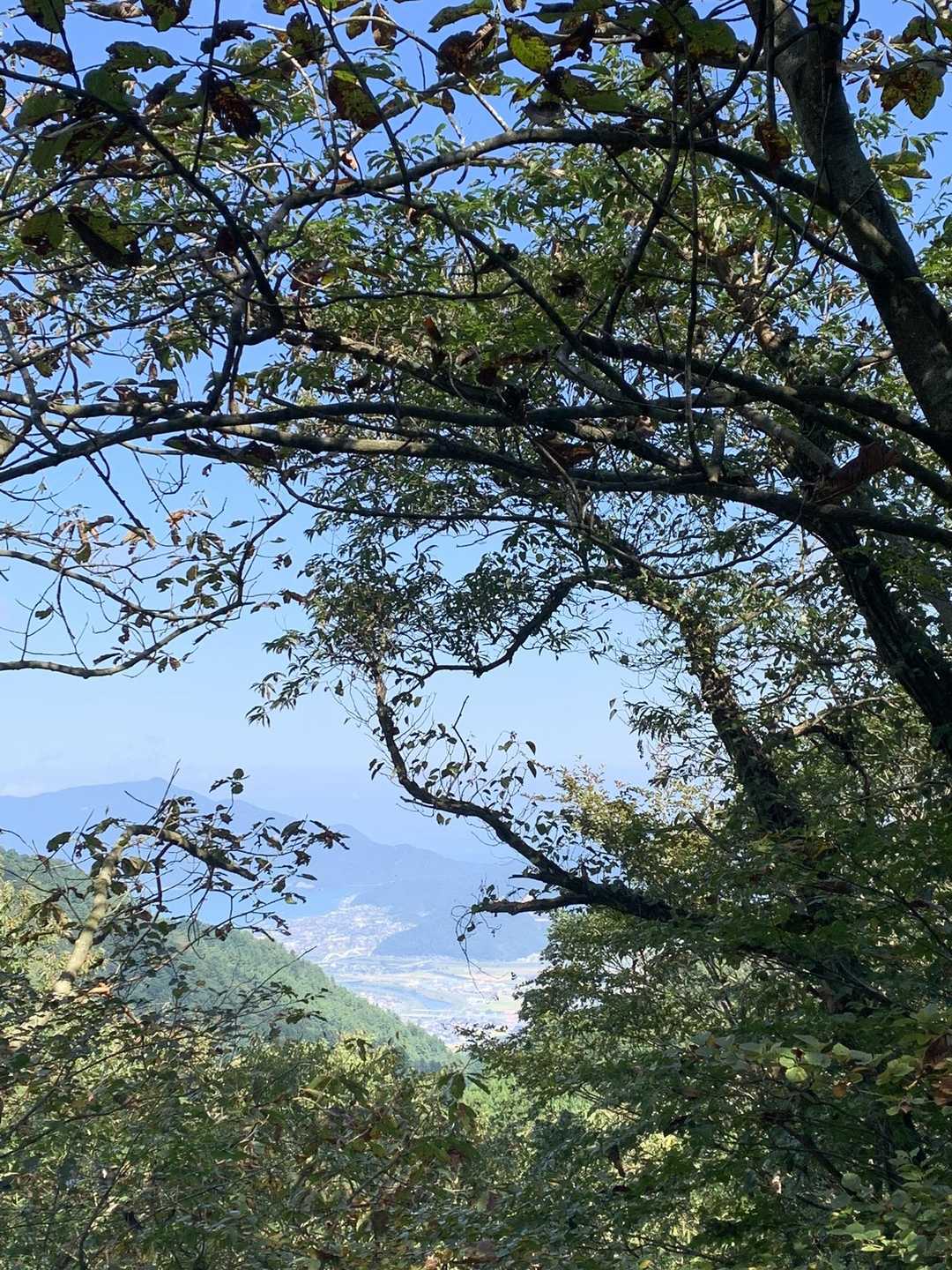 唯一の眺望でした。