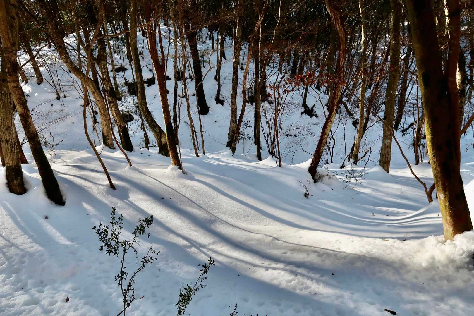 さあ、ソリを手に持って　
滑ったり　イボったりしながら今日のお目当てのゲレンデへ下山です❗️
※いぼるって博多弁だって
