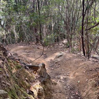 楽しくてちょっと走る🏃‍♀️