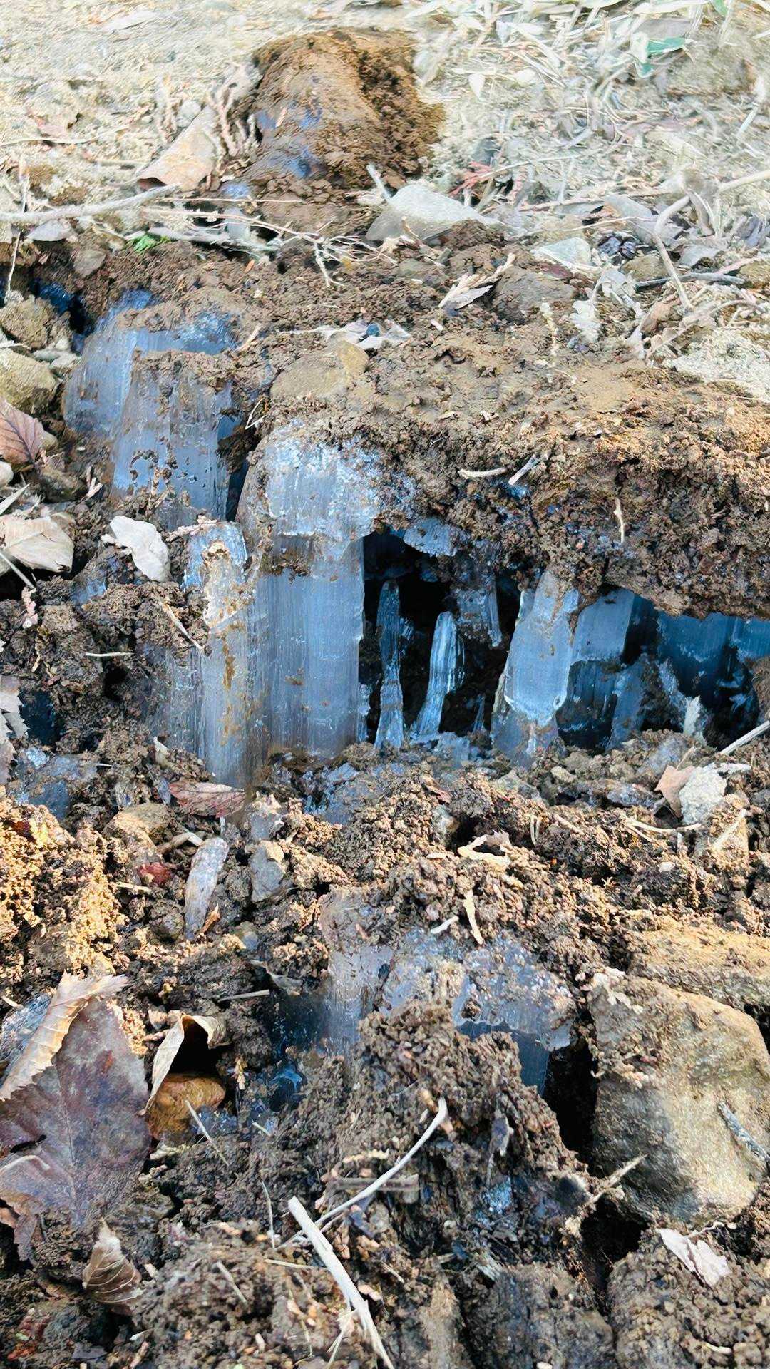 開放的な尾根の地形が魅力の、万人の憩いの場「長尾平」の写真