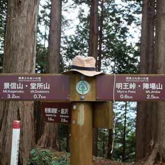 粋な麦わら帽子が！