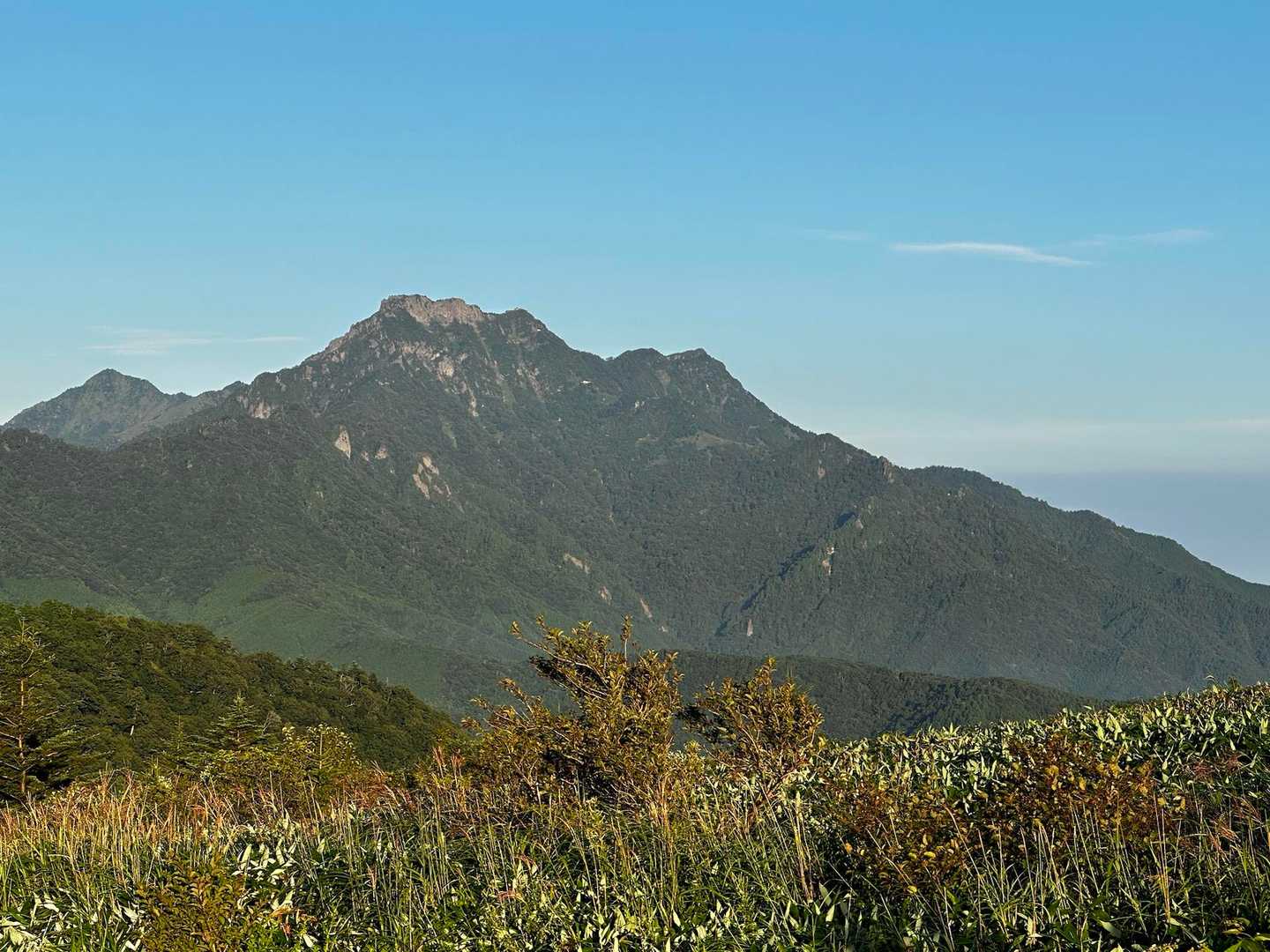 シラサ峠-伊吹山 往復コースの写真