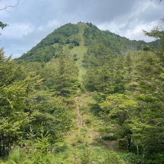 ラスボスの急登。真ん中の開けたところを120mぐらい直登。