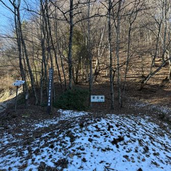 ミッキーは居ません