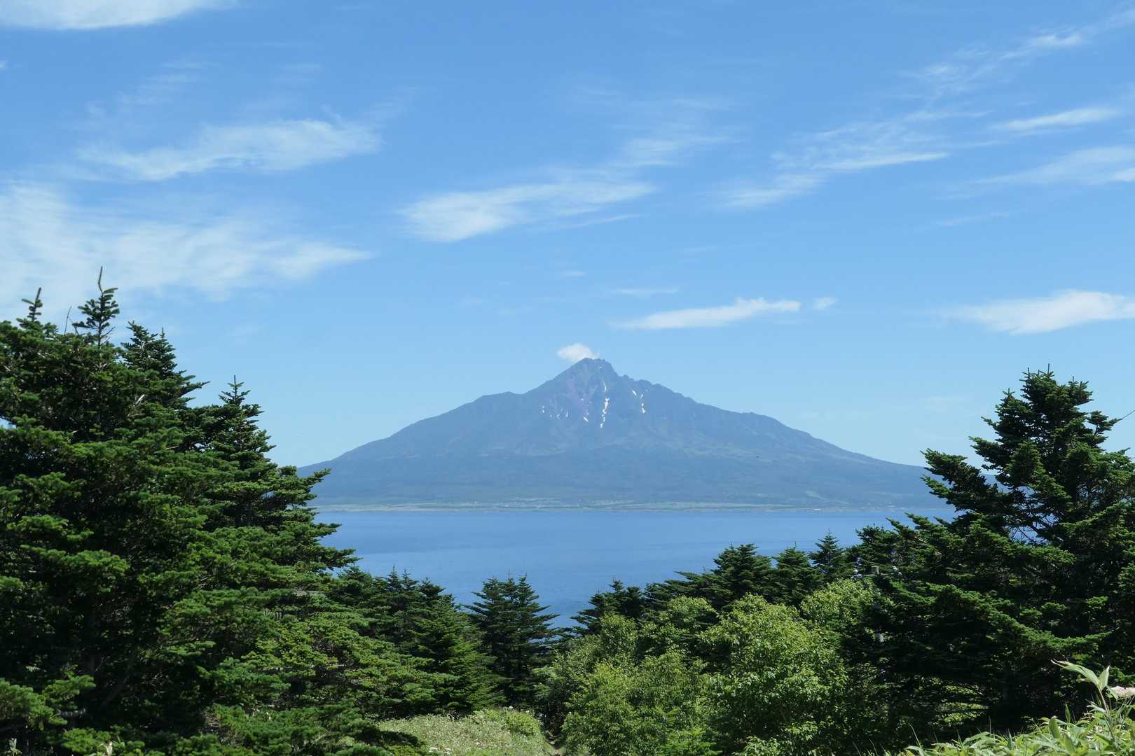 樹林帯の向こうに利尻ドン。