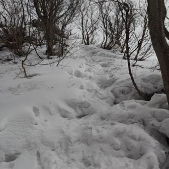 山頂直下。
ある程度ステップになってるので歩きやすいかと思ってたらさらに上の方は凍っててピン長では少し大変だった💦
チェンスパかアイゼンあると安全安心。
下山時は踵蹴り込んで氷を砕きながら降りてきたので大丈夫だった。
こうゆう時デブな私の体重はありがたい🐷
それ以外では無用の長物😔