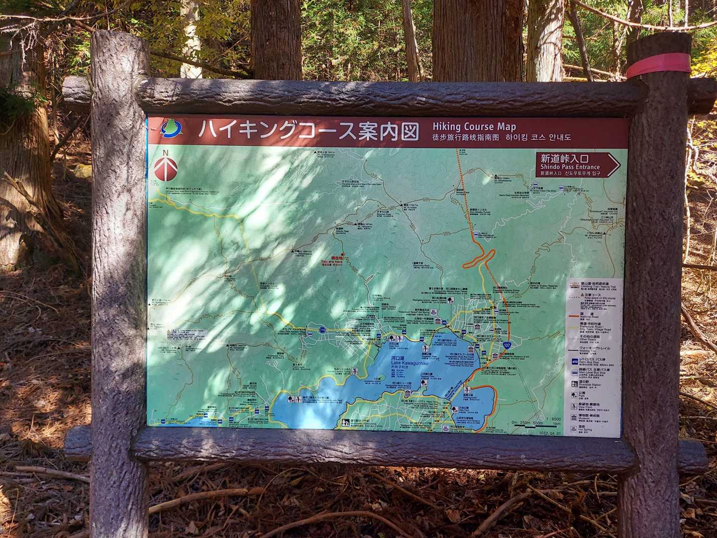ようやく新道峠入口❗