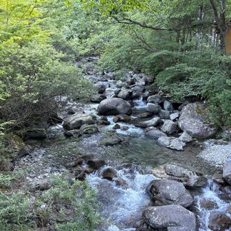 「渓谷」というだけあって水の音が気持ちいいです。