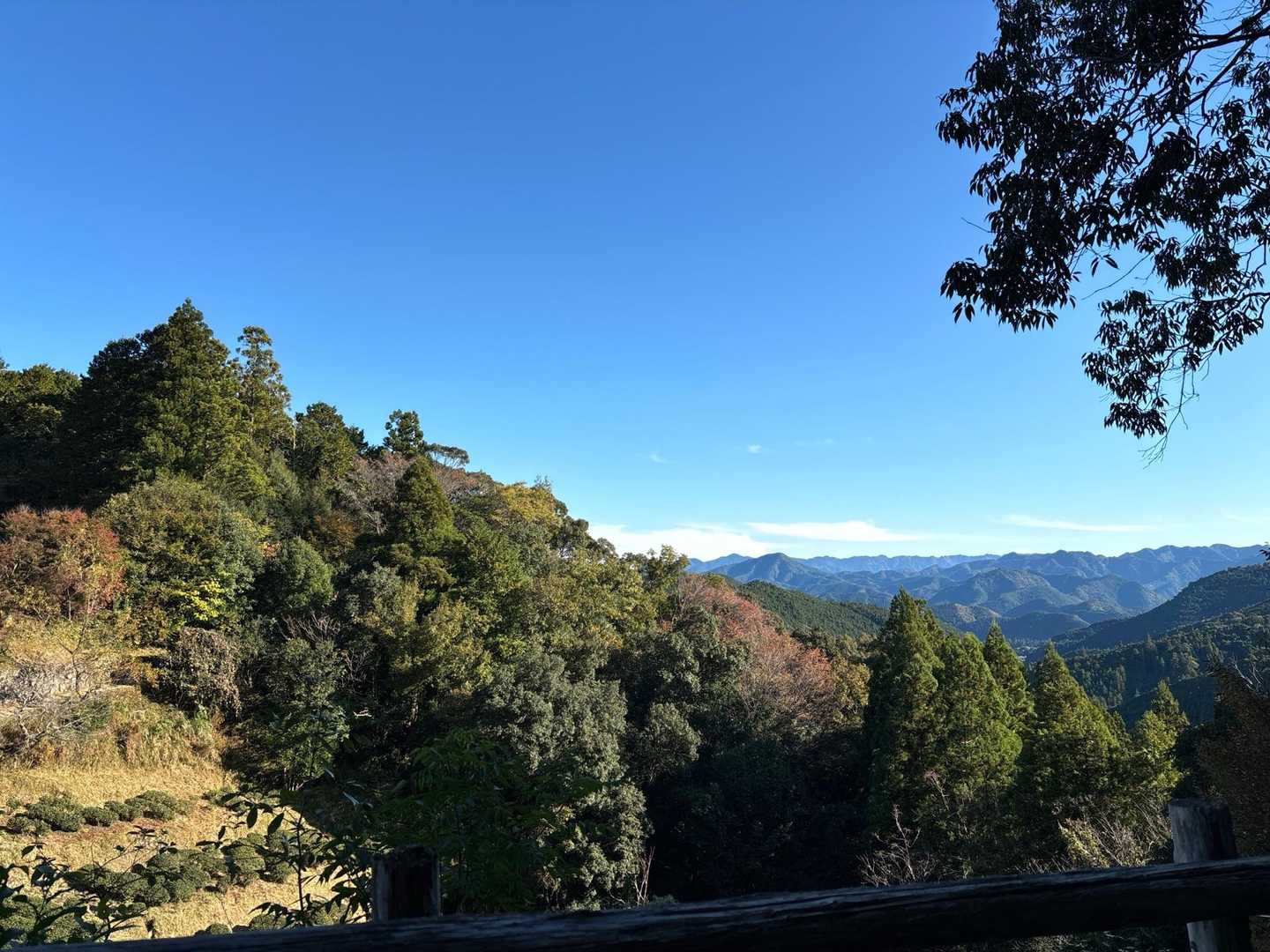 熊野古道 中辺路（滝尻王子〜熊野本宮大社）の写真