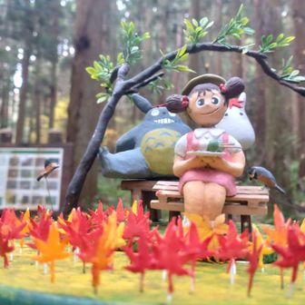 あら！秋バージョンに❣️