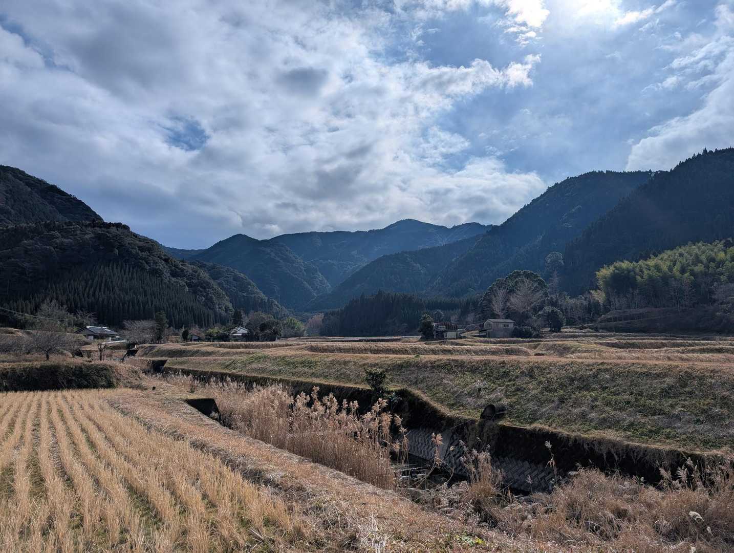 低山ありがとうございました