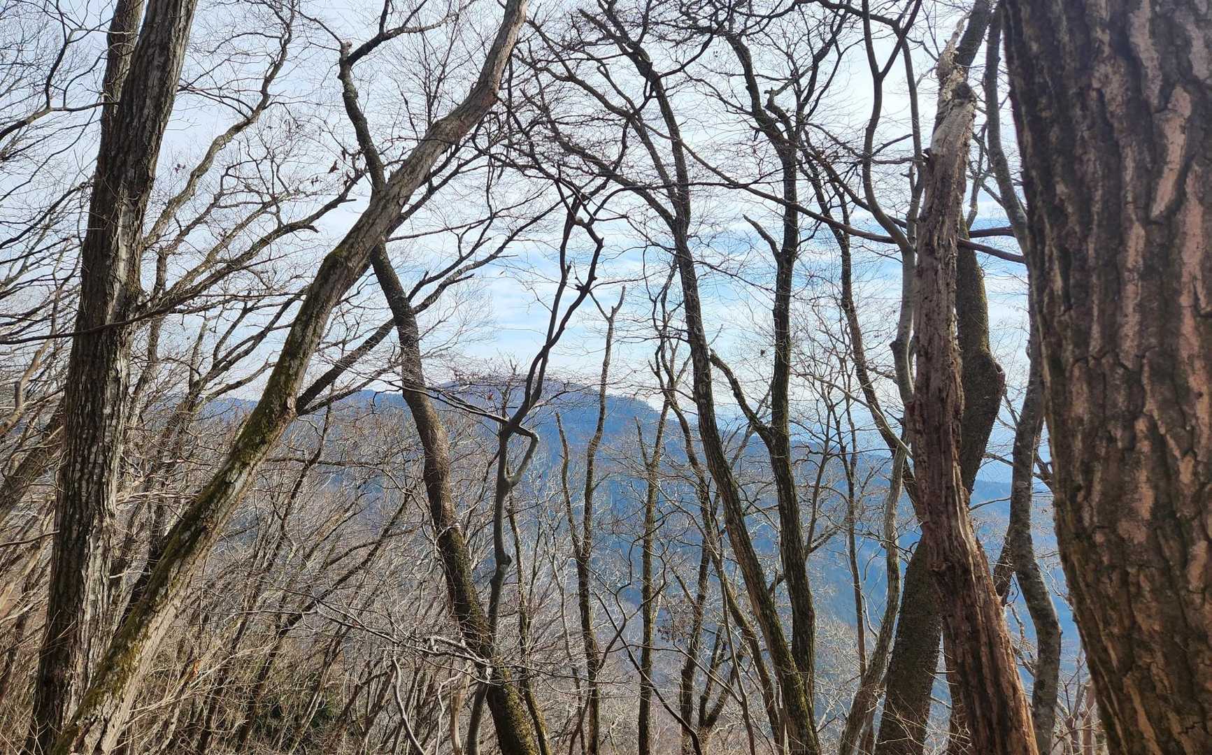 向こう側に陣馬山が見える。
あんな遠いところまで行くのか・・・