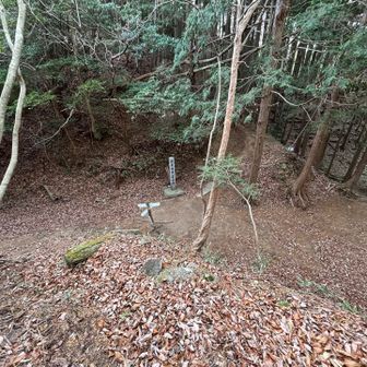 快適な道を戻り、可部峠に下山❗️