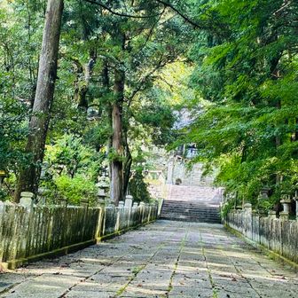 苔むす岩板の参道　雨上がりビムラムとて油断は、禁物