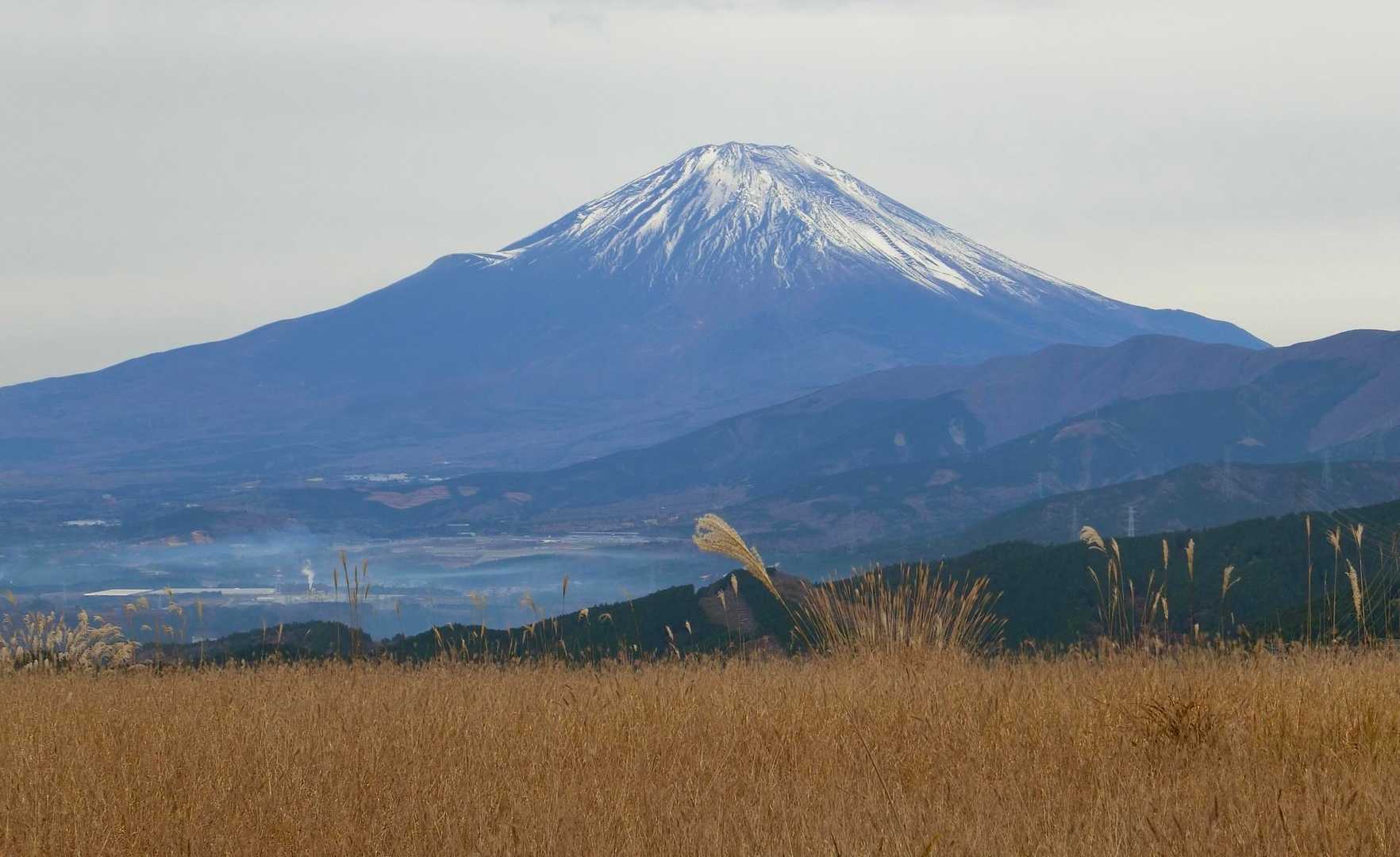 谷峨駅-大野山 往復コースの写真