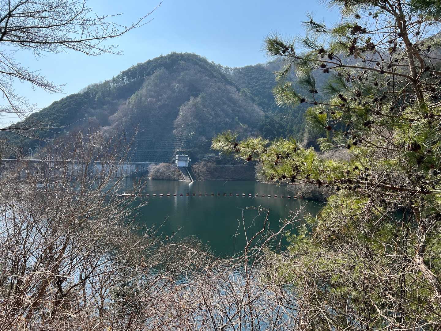 松田川ダムまで下りてきた