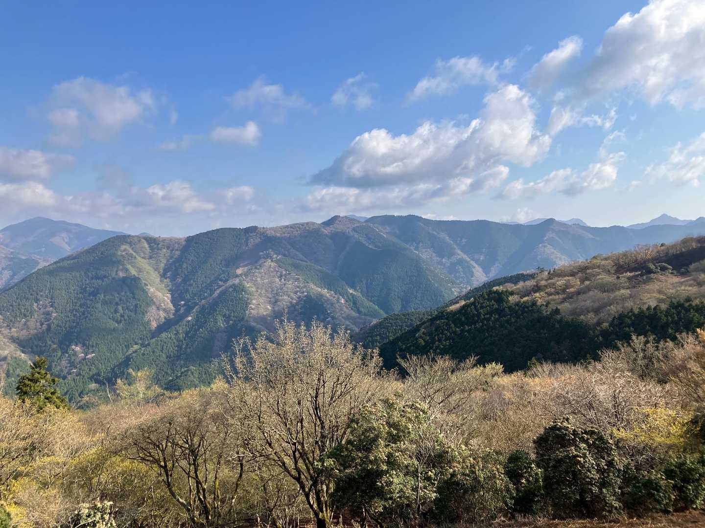 あとで歩く稜線。右の方から巻いてきます。
左の端っこは綿向山、右の端っこは鎌ヶ岳