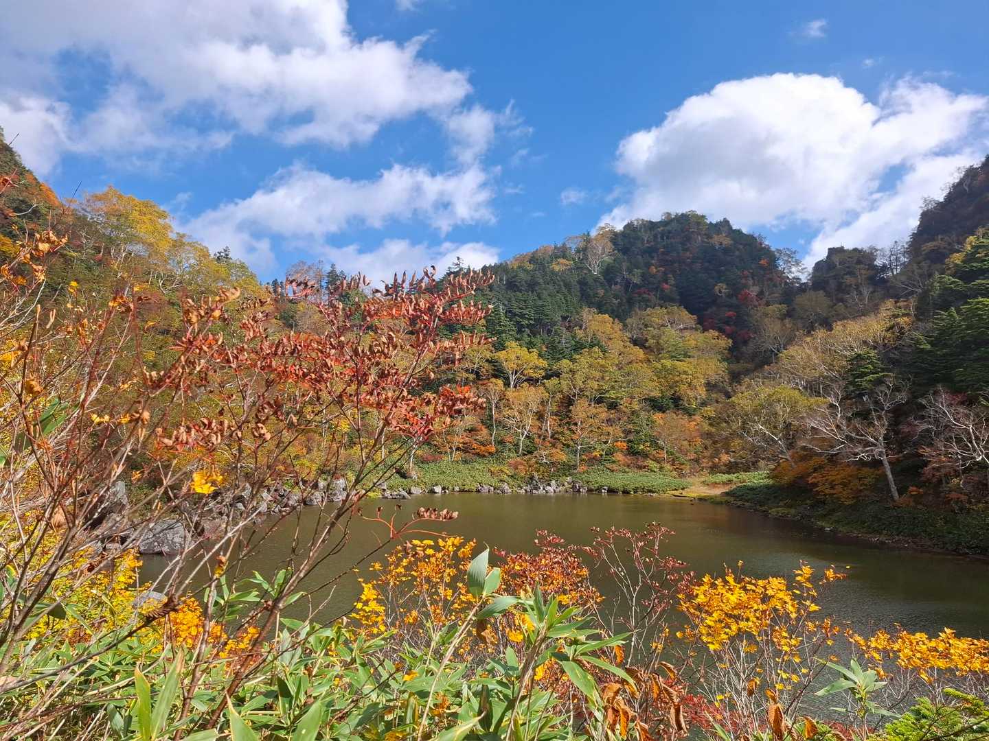 下ったところで小敷池と前横倉山