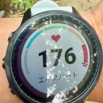 少し下がってコレw
MAXは183でした🤮