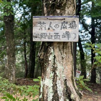なんでここが鼻ひしげ山とよぶようになったのだろう？
「ひしげ」とは「ひしゃげ」の事みたいだが、伊勢で「ひしげ」と言うかなぁ？