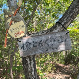 槍どんぐり山  215m
岩肌で眺め良し