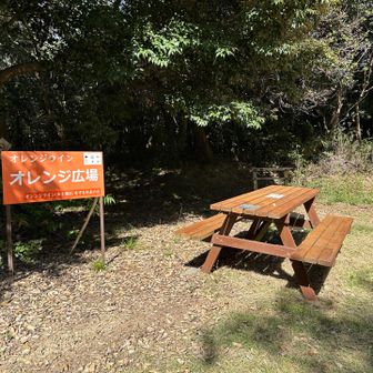 オレンジ広場🍊