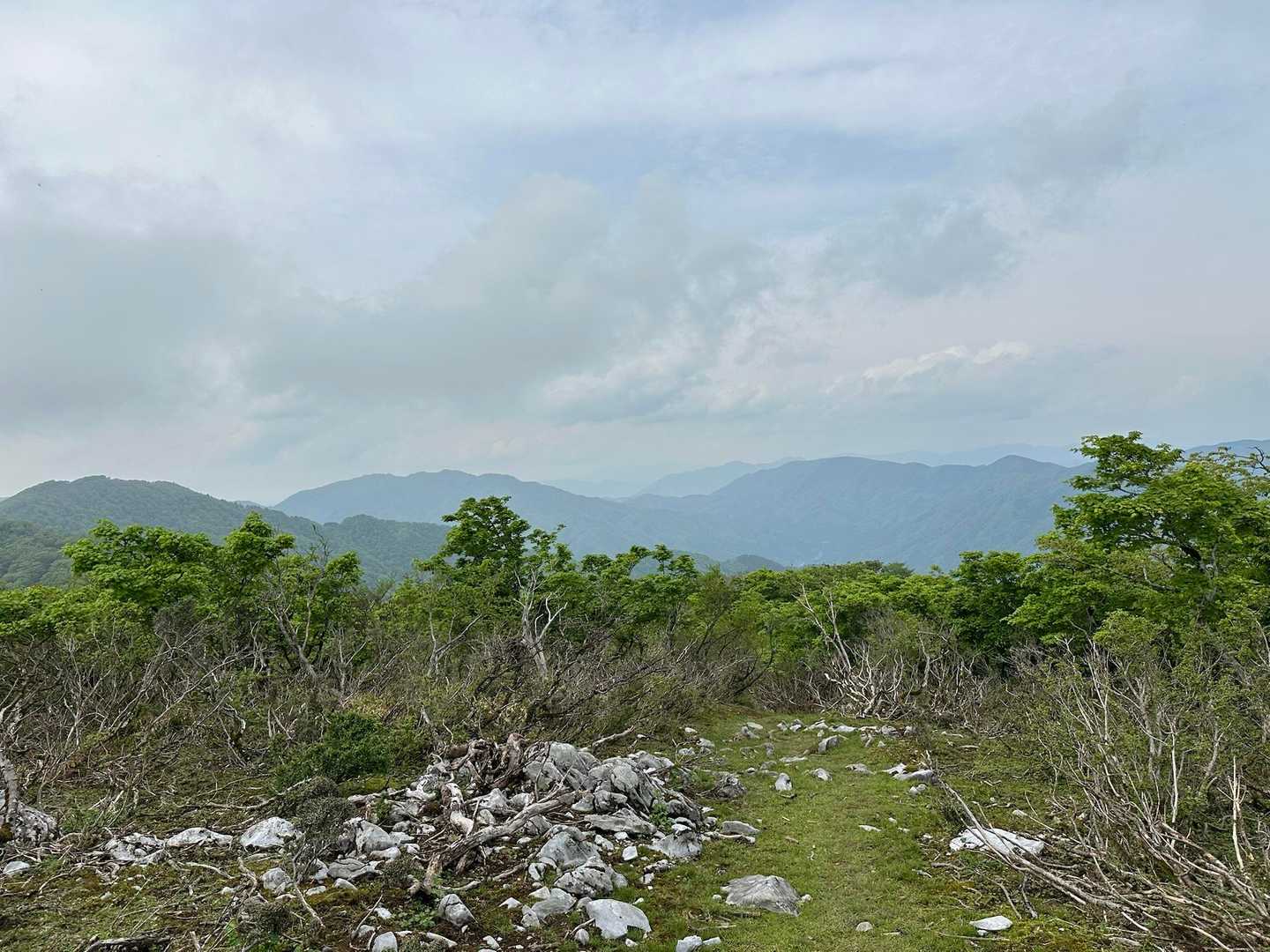 御座山山頂からのお山
残念ながら最後まで能郷白山は見えませんでした😥