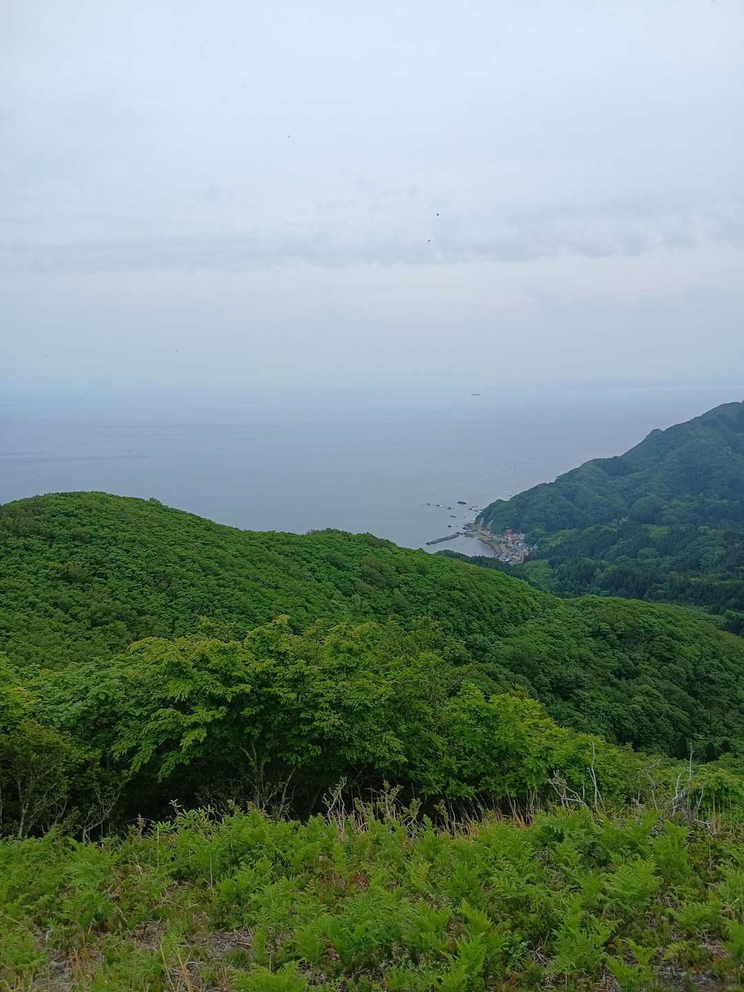 小谷石