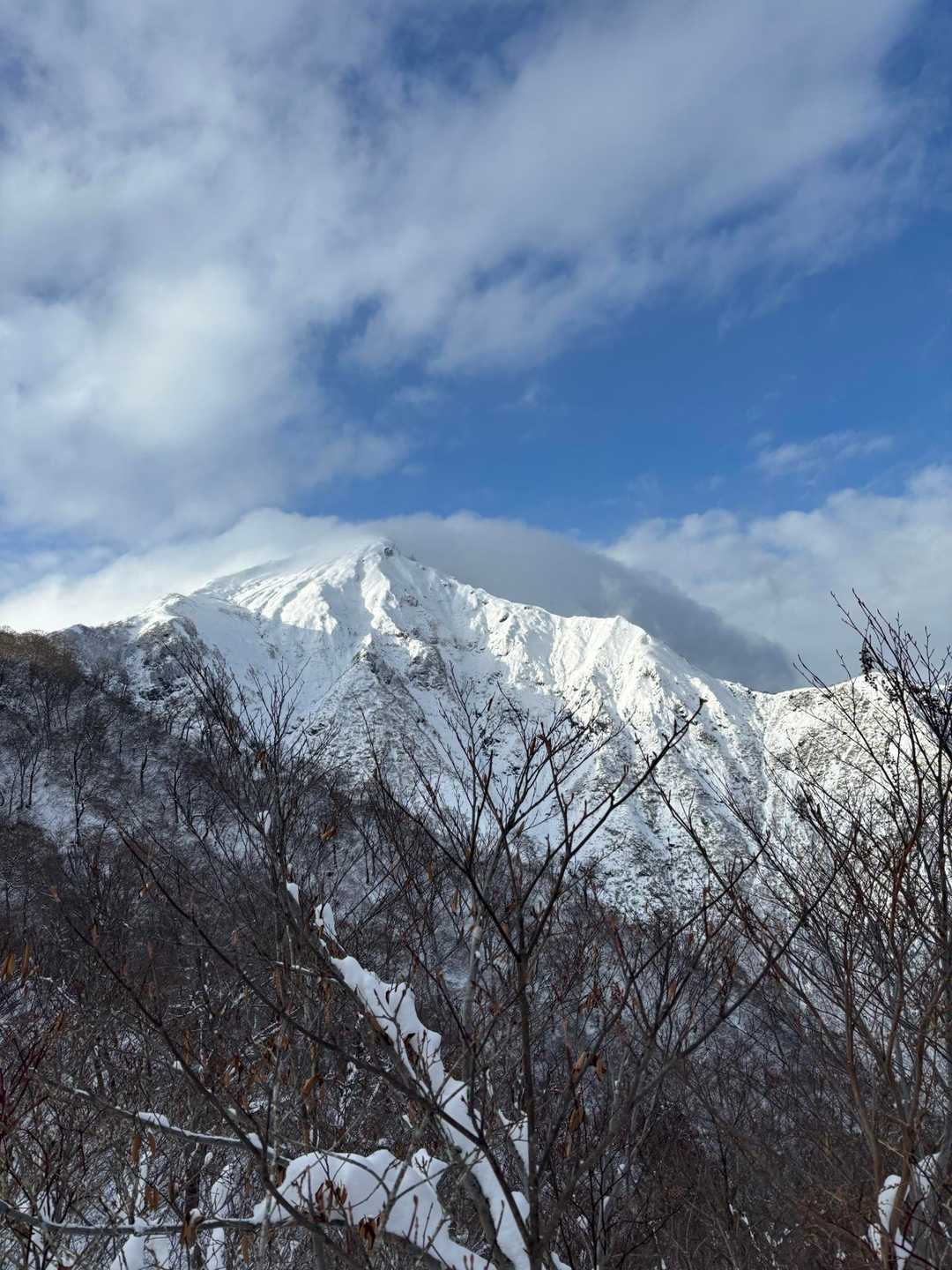 綺麗すぎて何度も振り返って📸