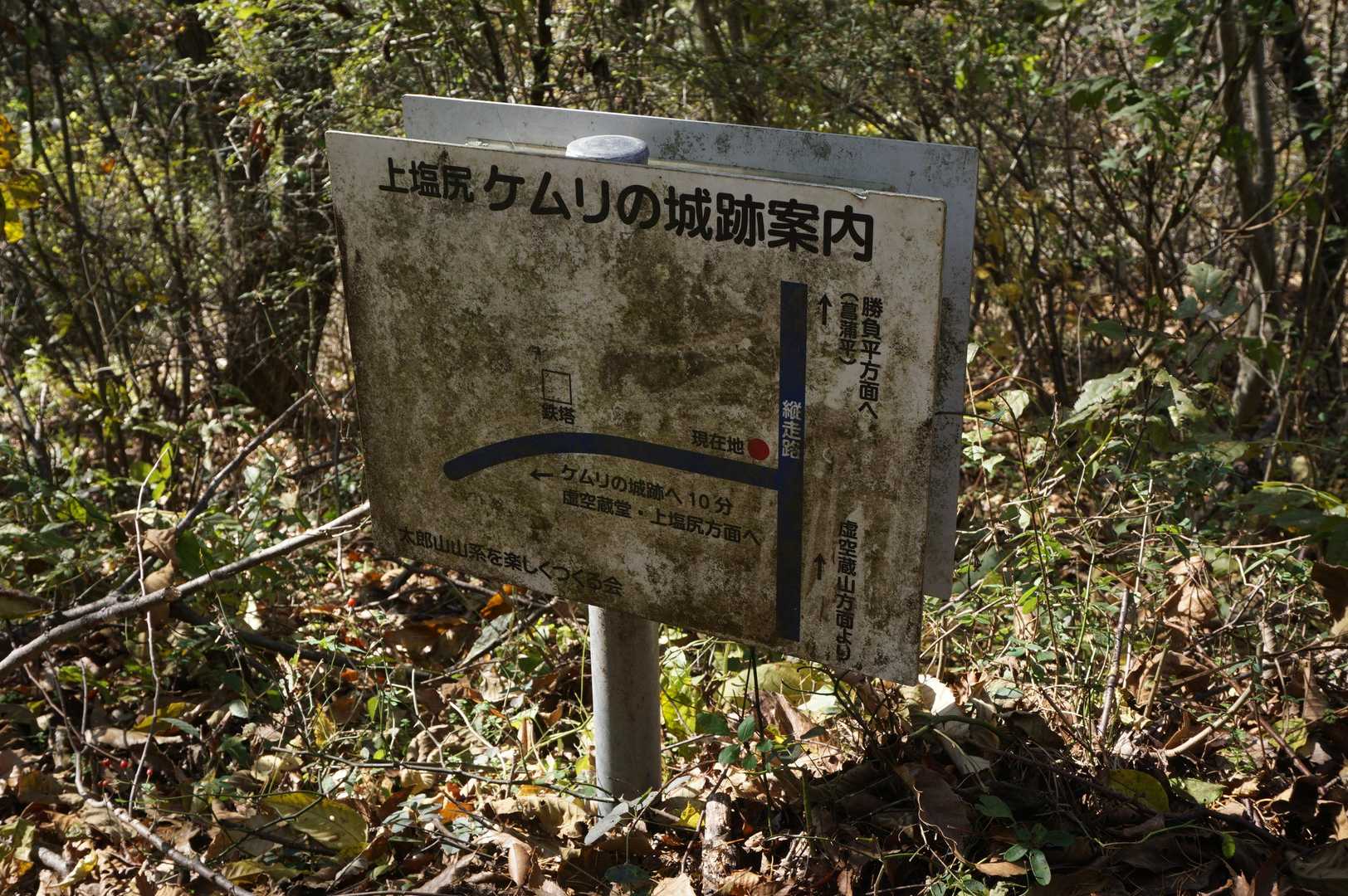やっと分岐に着いた…
ここからはトラバース的な道のりだから…と安心していたら…