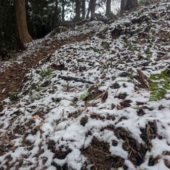 北帝近くはこんなに