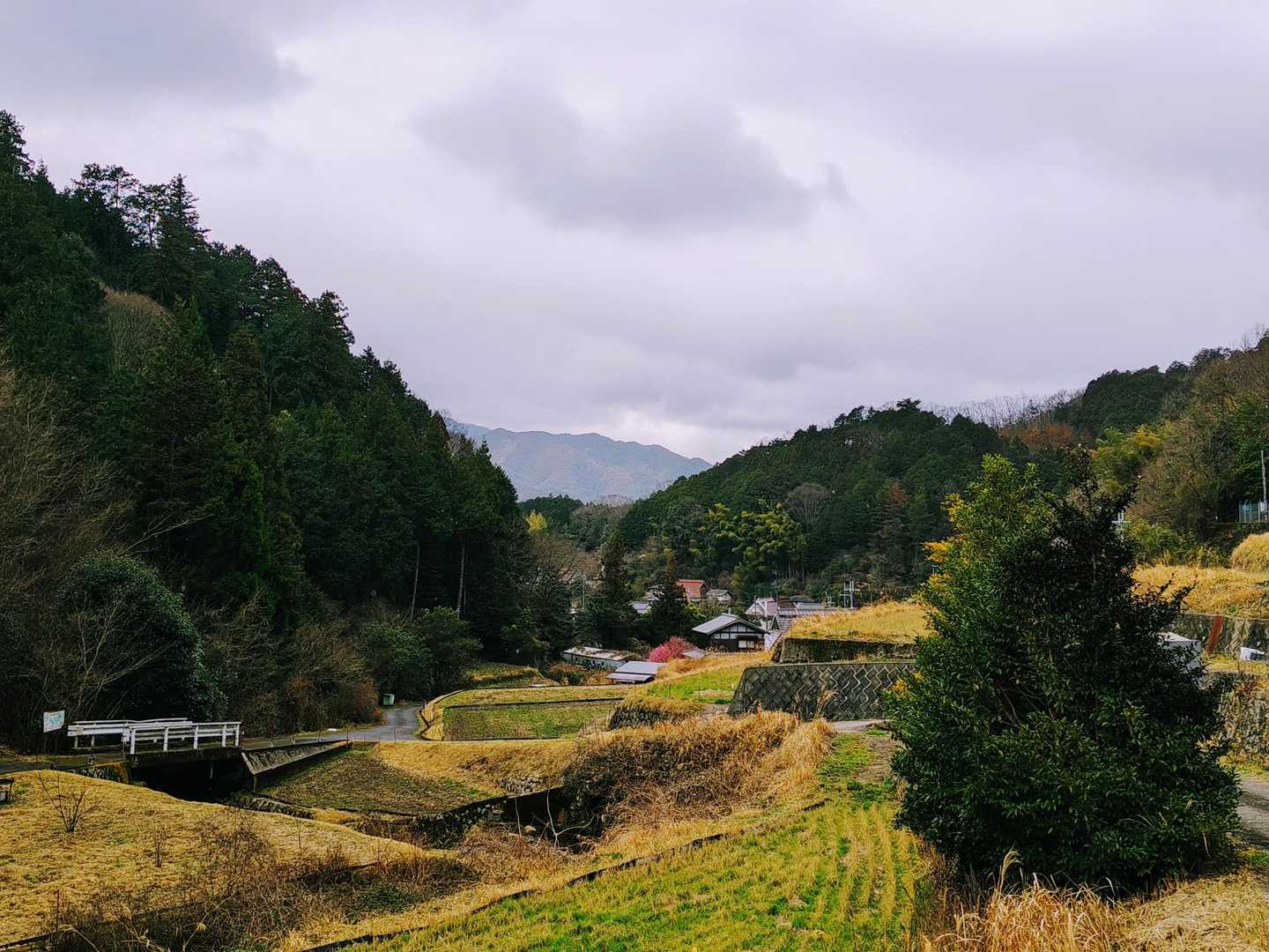 途中から舗装路になり のどかな里山風景がありました😊