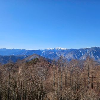 聖岳、赤石岳、悪沢岳✨

左端が笊ヶ岳辺りですね⛰️