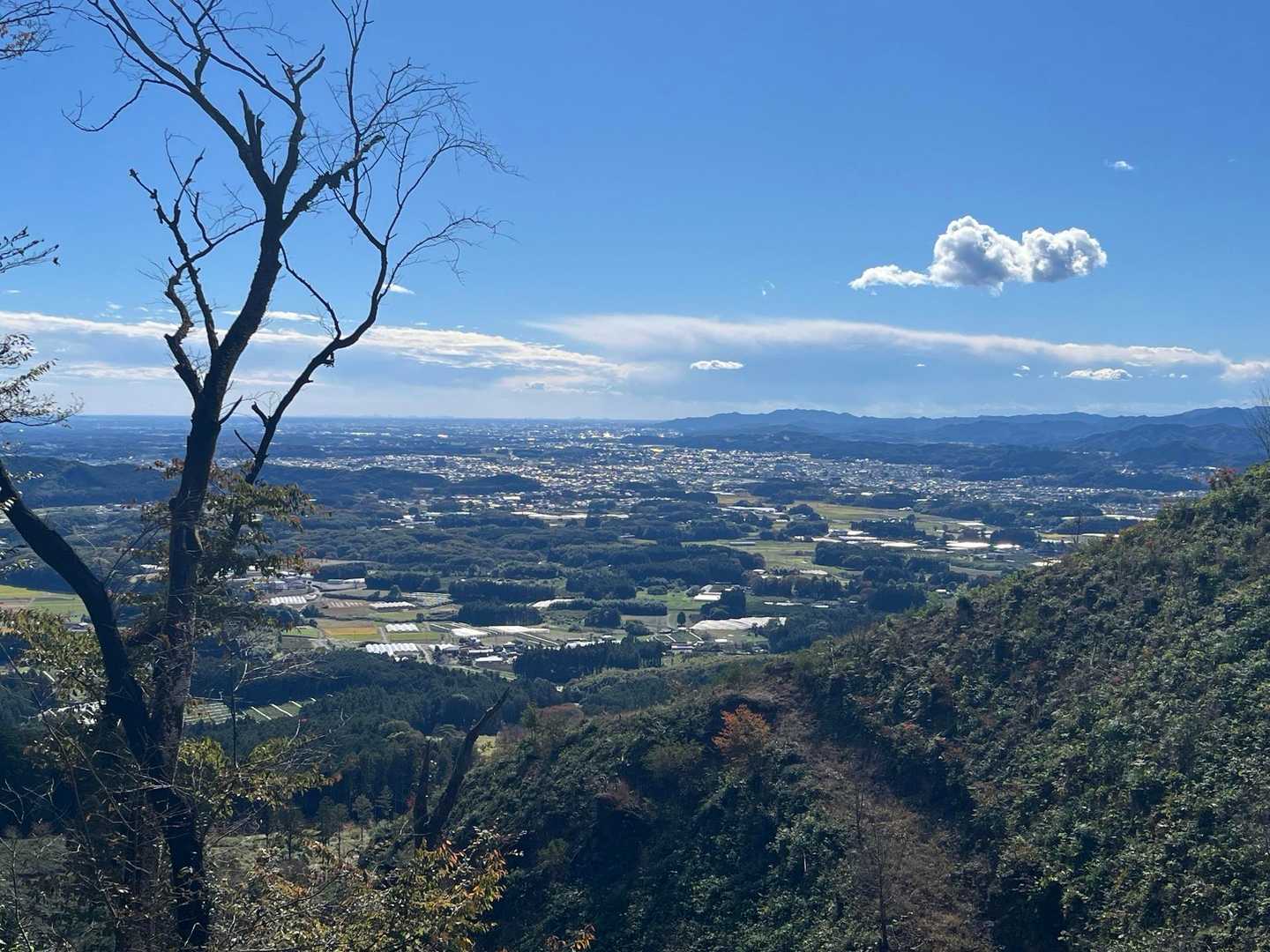 宇都宮市内？鹿沼市内？