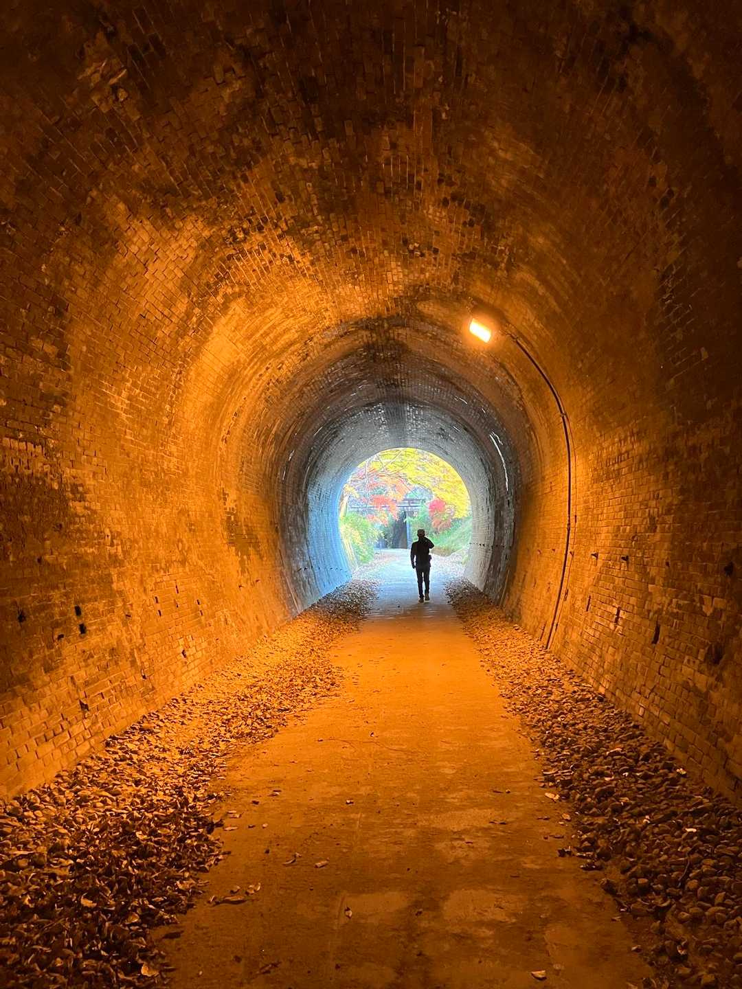 トンネルを抜けると色彩豊かな光景