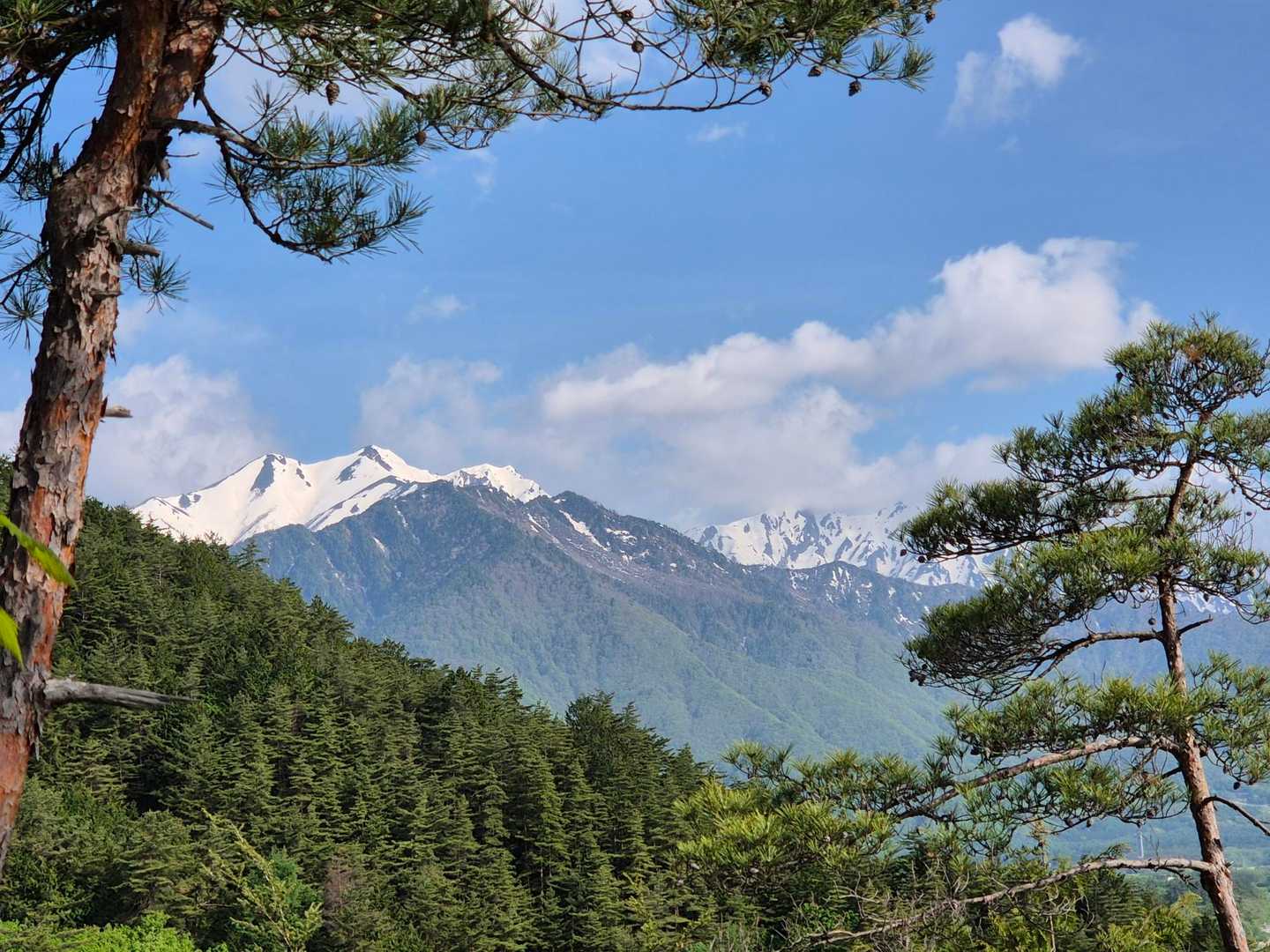爺ヶ岳だね🎵