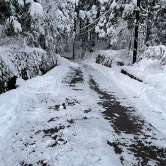 気をつけて下ります。