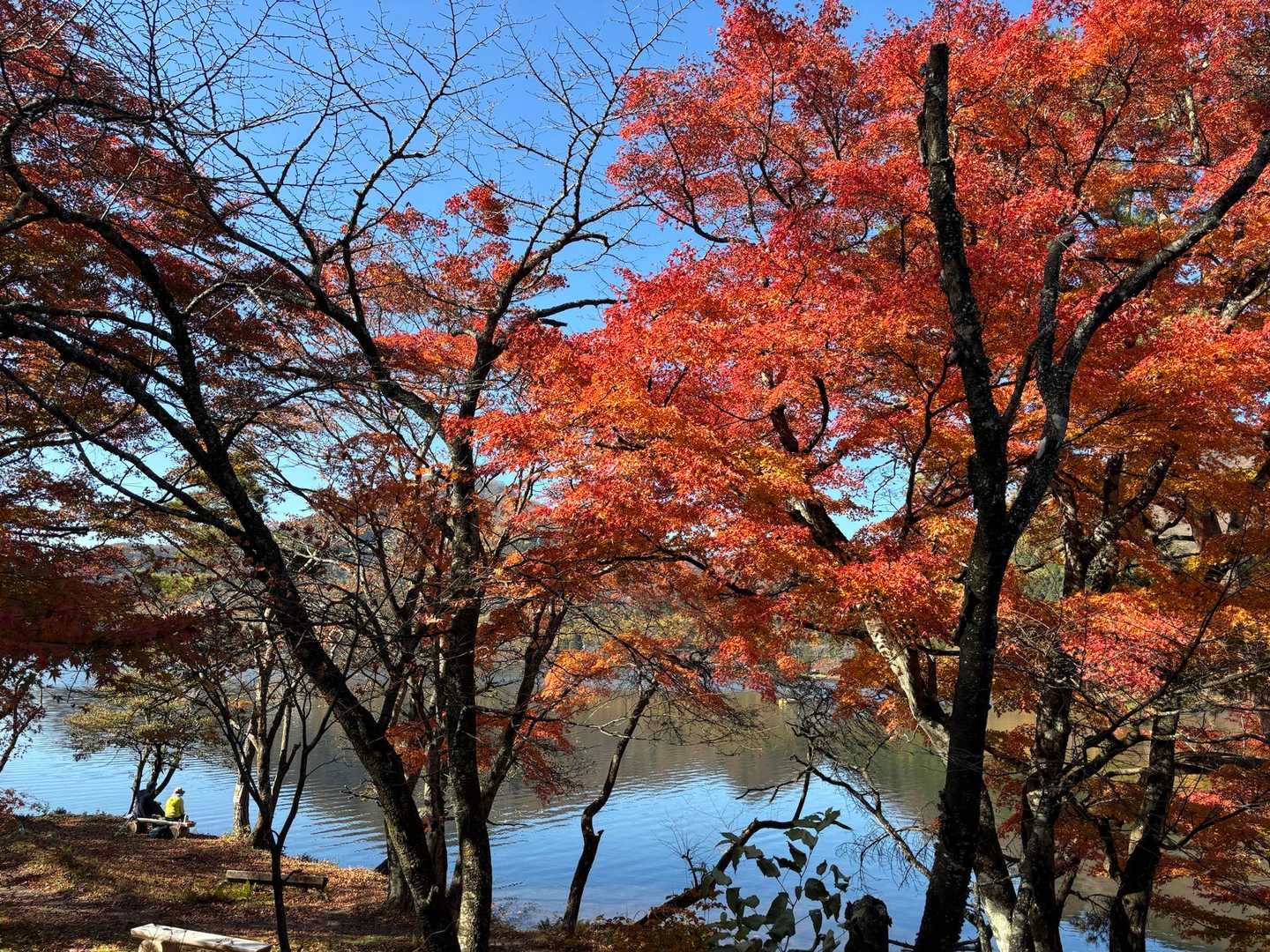 榛名湖一周はキレイでした