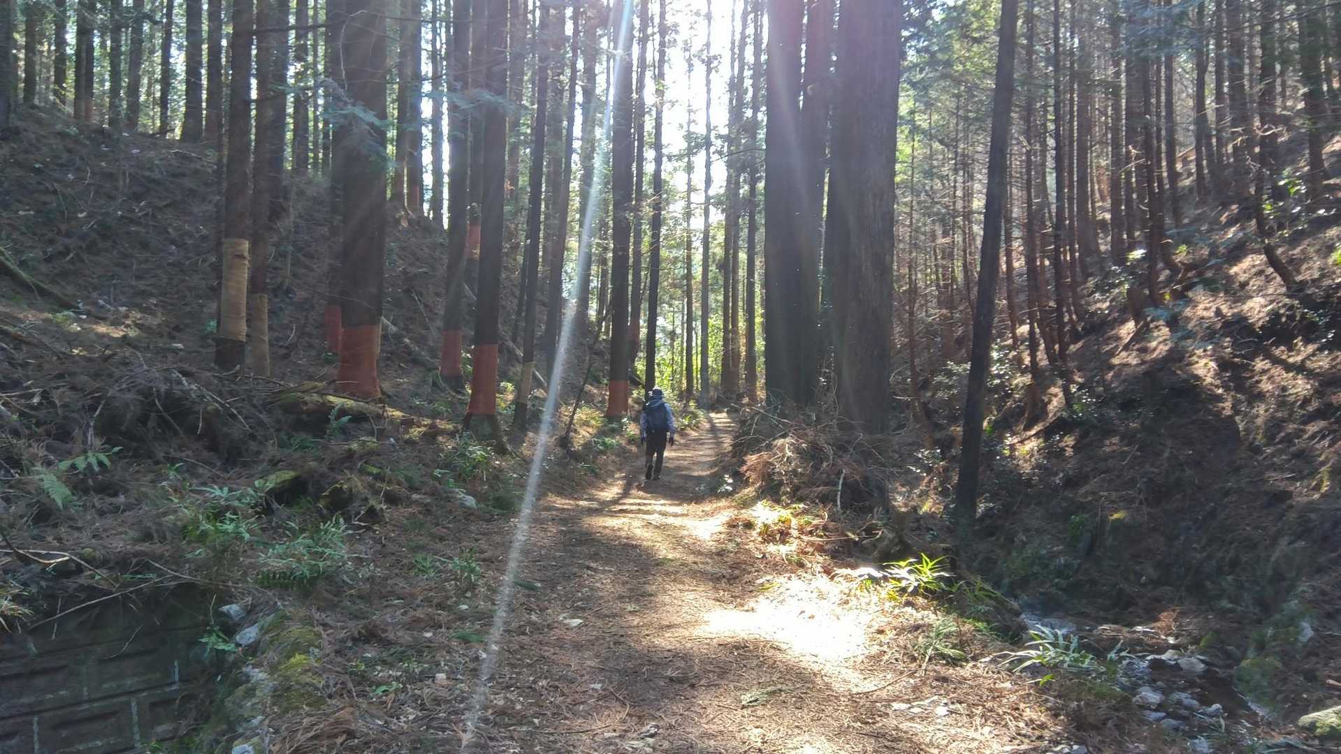木漏れ日が気持ちいい😊