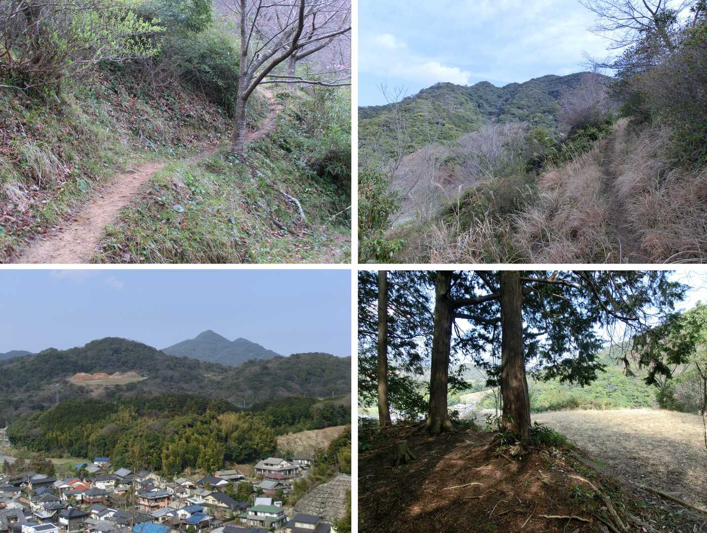 眼下に猪野集落、三岳、その後方に立花山を眺めながら高度を上げて行き、さくら山（119ｍ）を目指す 🌸