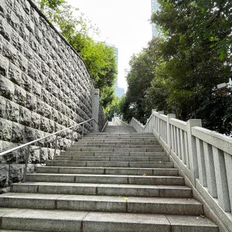 階段で登ります