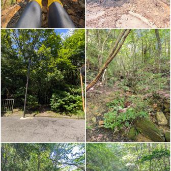 中山山頂。

東尾根に向かう途中の景色一式。一旦、谷に下りて尾根に上ります。