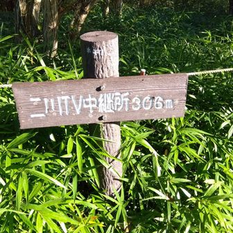 山頂標の代わりで