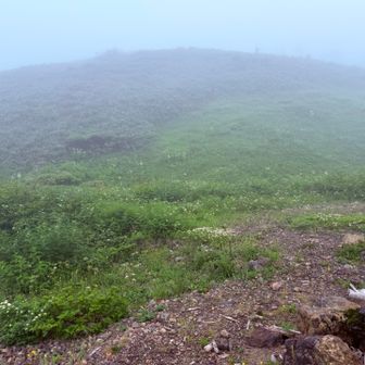 視界が良いと気持ち良いやろなー