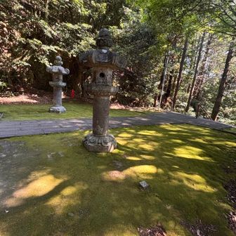 素敵な神社へおりてきた