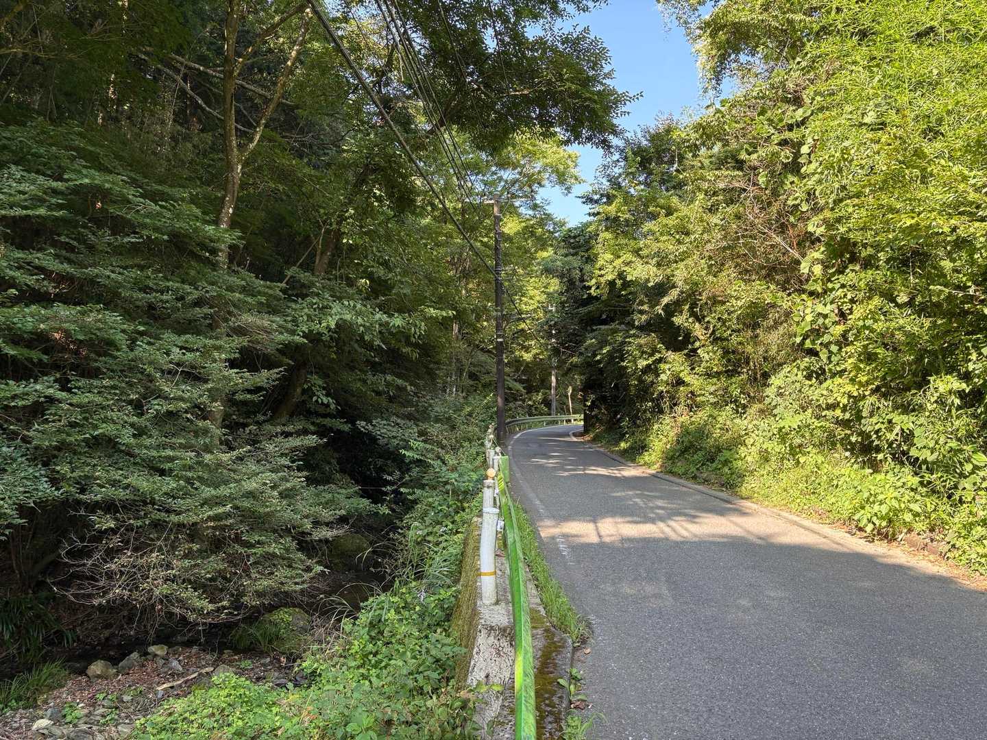 朝から晴れていて蒸し暑い。しかし左側の南浅川の方から時々吹いてくる風が心地よい。