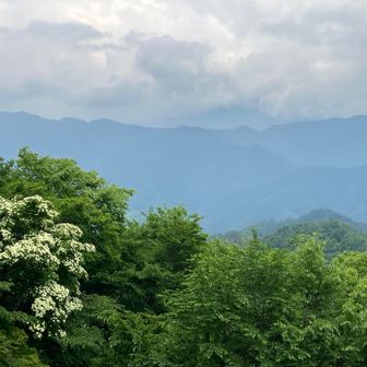雲で不鮮明であるが、少し富士山が見えた。蛾ヶ岳山頂。