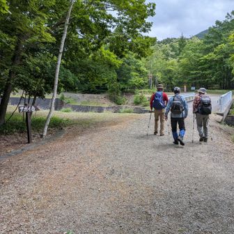 最初、川沿いの林道を歩きました。